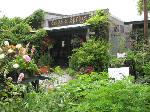 Twigs & Sprigs Restaurant is a quaint addition to Stream Cliff Herb Far...